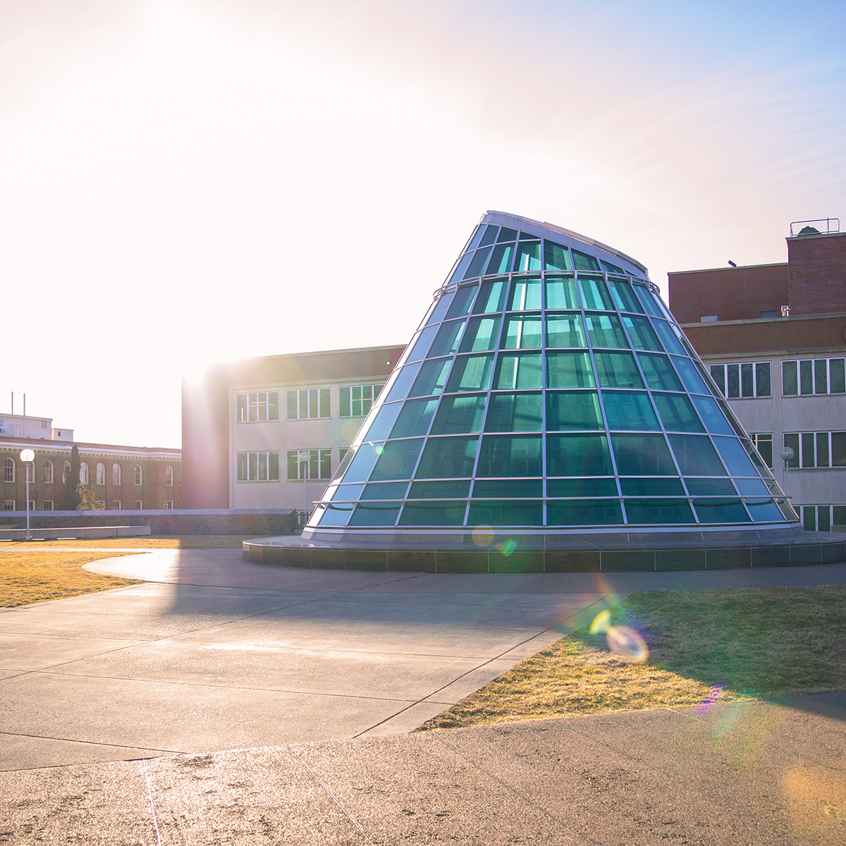Faculty Resources
